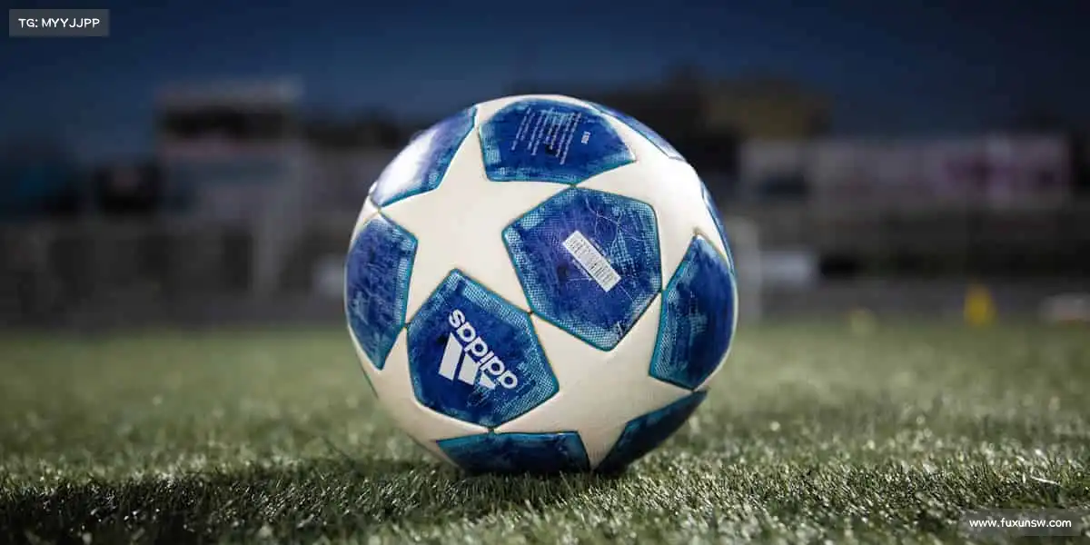 行业领先的理由